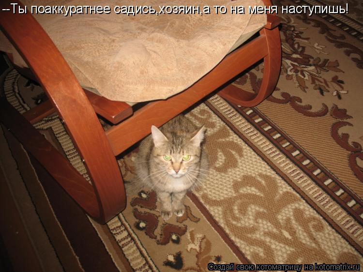 Котоматрица: --Ты поаккуратнее садись,хозяин,а то на меня наступишь!