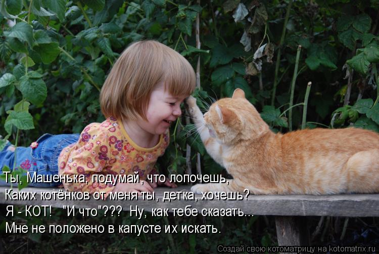 Ты, Машенька, подумай, что лопочешь, Каких котёнков от меня ты, детка, хочешь? Я - КОТ! "И что"??? ... Котоматрица: Ты, Машенька, подумай, что лопочешь, Каких котёнков от меня ты, детка, хочешь? Я - КОТ! "И что"??? Ну, как тебе сказать... Мне не положено в капуст