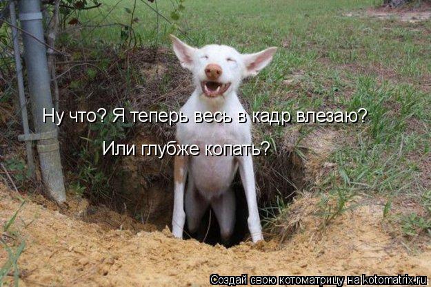 Ну что? Я теперь весь в кадр влезаю? Или глубже копать?... Котоматрица: Ну что? Я теперь весь в кадр влезаю? Или глубже копать?