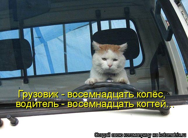 Котоматрица: Грузовик - восемнадцать колёс, водитель - восемнадцать когтей...