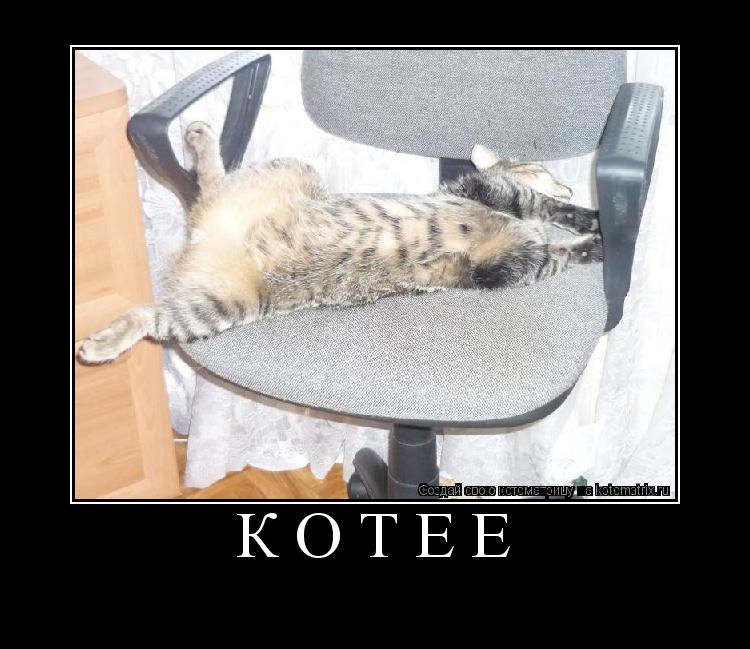 Котоматрица: котее 