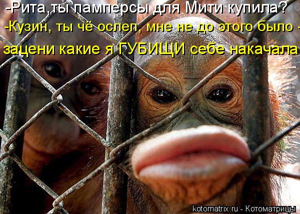 http://kotomatrix.ru/images/lolz/2011/08/27/m.jpg