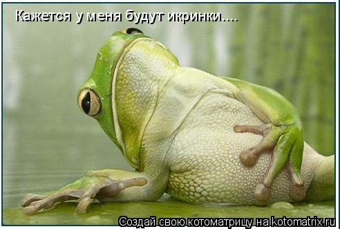 Кажется у меня будут икринки....... Котоматрица: Кажется у меня будут икринки....