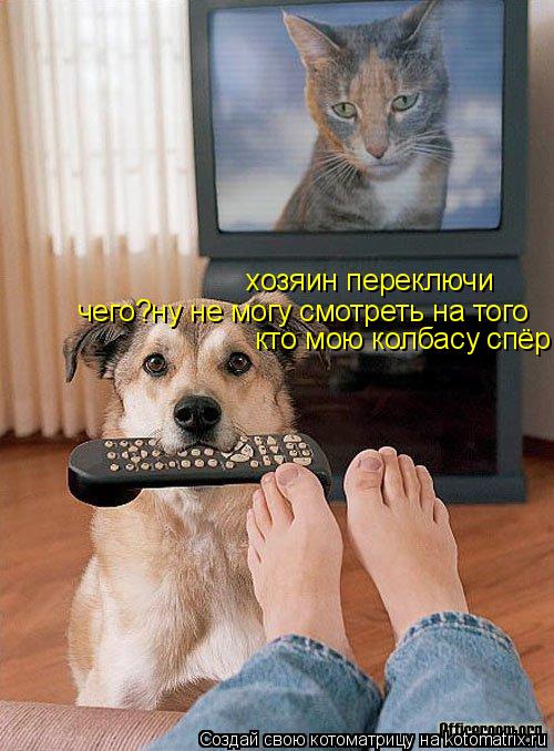 хозяин переключи чего?ну не могу смотреть на того кто мою колбасу спёр... Котоматрица: хозяин переключи чего?ну не могу смотреть на того кто мою колбасу спёр