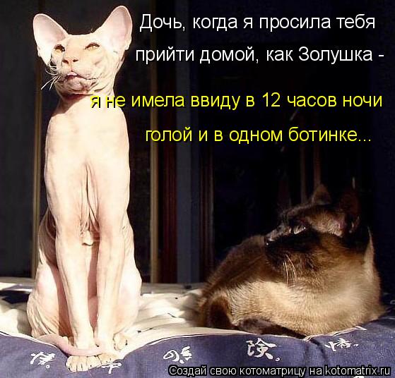 Котоматрица: Дочь, когда я просила тебя  прийти домой, как Золушка -  я не имела ввиду в 12 часов ночи  голой и в одном ботинке...