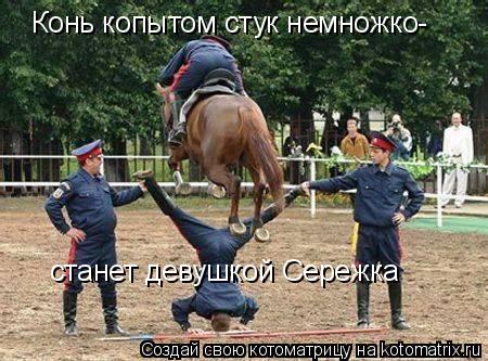 Котоматрица: Конь копытом стук немножко- станет девушкой Сережка