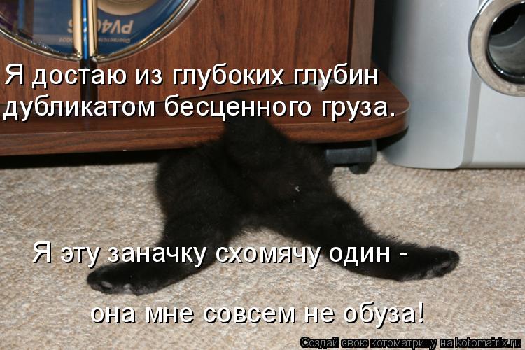 Котоматрица: Я достаю из глубоких глубин  дубликатом бесценного груза. Я эту заначку схомячу один -  она мне совсем не обуза!
