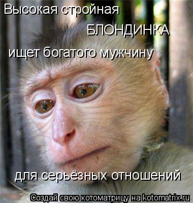 Котоматрица: Высокая стройная БЛОНДИНКА  ищет богатого мужчину для серьёзных отношений