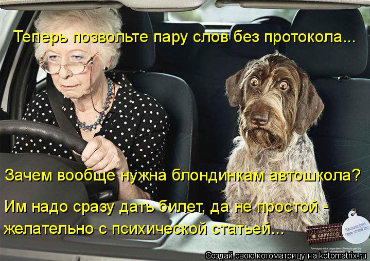 Котоматрица: Теперь позвольте пару слов без протокола... Зачем вообще нужна блондинкам автошкола? Им надо сразу дать билет, да не простой -  желательно с п