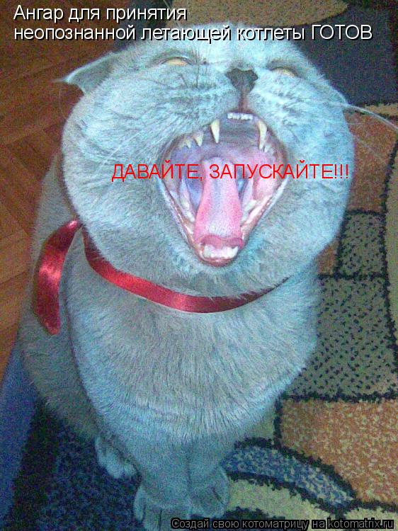 Котоматрица: Ангар для принятия неопознанной летающей котлеты ГОТОВ ДАВАЙТЕ, ЗАПУСКАЙТЕ!!!