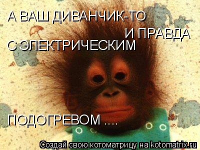 Котоматрица: А ВАШ ДИВАНЧИК-ТО И ПРАВДА С ЭЛЕКТРИЧЕСКИМ ПОДОГРЕВОМ ....
