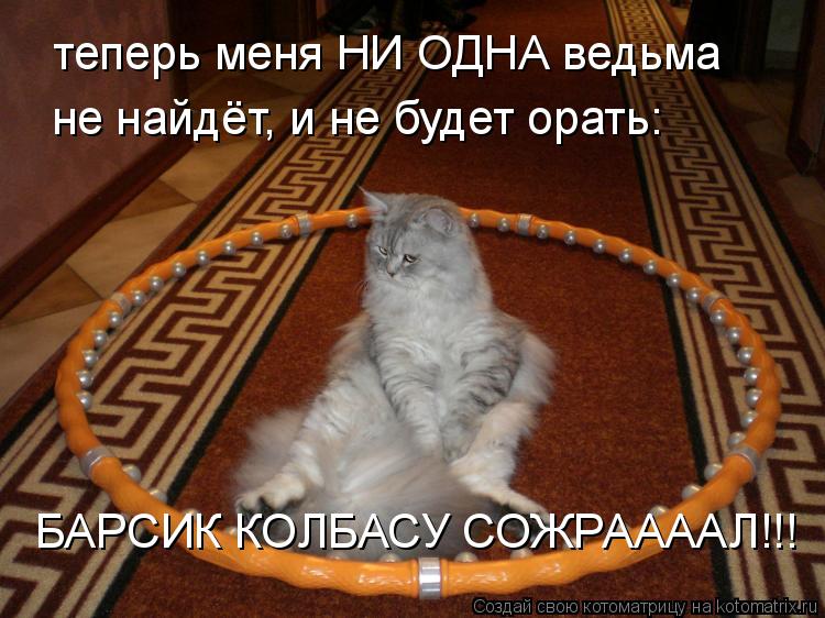 Котоматрица: теперь меня НИ ОДНА ведьма не найдёт, и не будет орать: БАРСИК КОЛБАСУ СОЖРААААЛ!!!