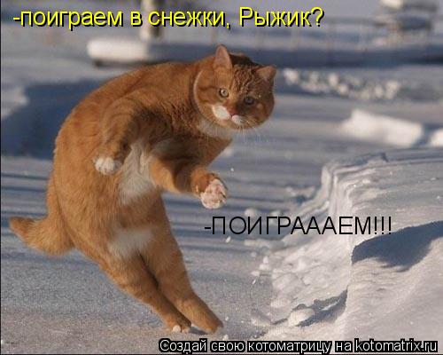 Котоматрица: -поиграем в снежки, Рыжик? -ПОИГРАААЕМ!!!