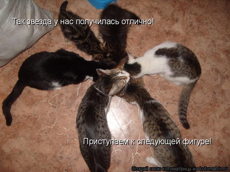 Так звезда у нас получилась отлично! Приступаем к следующей фигуре!... Котоматрица: Так звезда у нас получилась отлично! Приступаем к следующей фигуре!