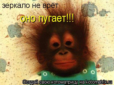 Котоматрица: зеркало не врёт оно пугает!!!