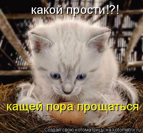 Котоматрица: кащей пора прощаться какой прости!?!