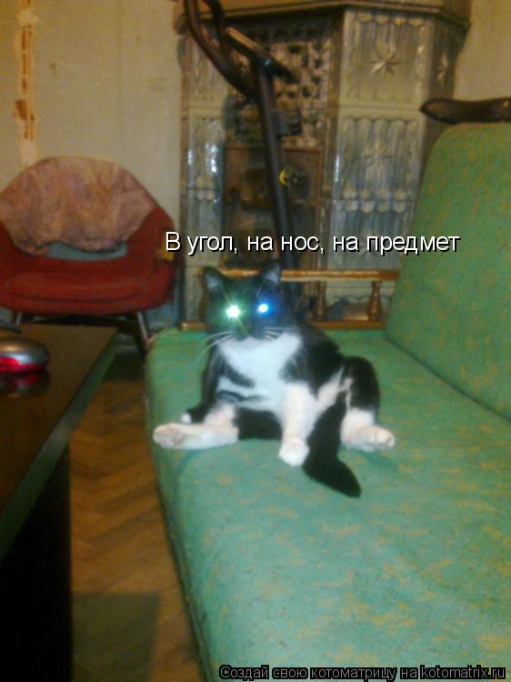 Котоматрица: В угол, на нос, на предмет