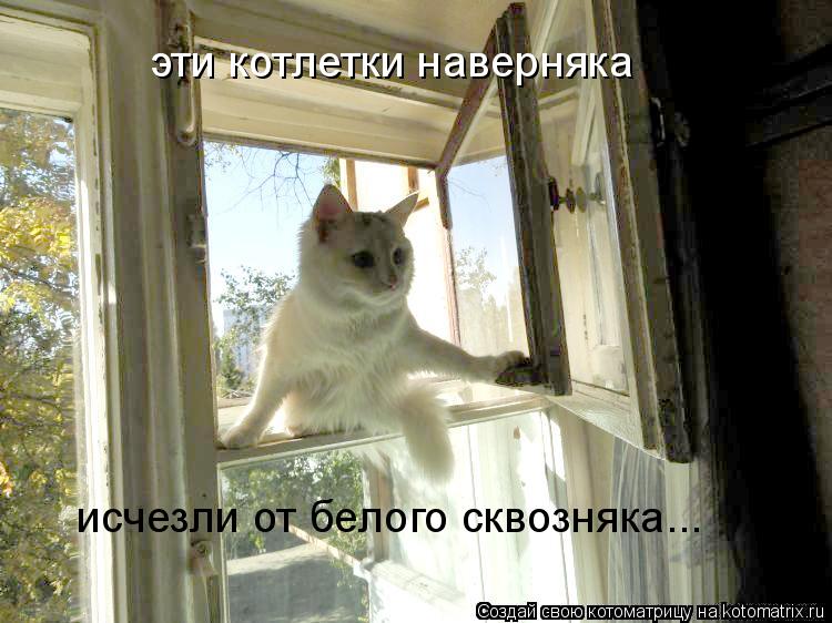 эти котлетки наверняка исчезли от белого сквозняка...... Котоматрица: эти котлетки наверняка исчезли от белого сквозняка...