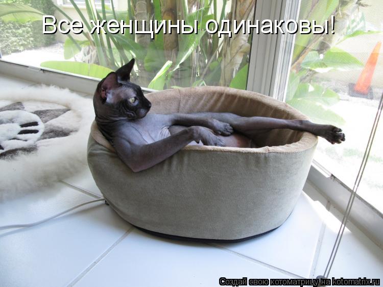 Все женщины одинаковы!... Котоматрица: Все женщины одинаковы!