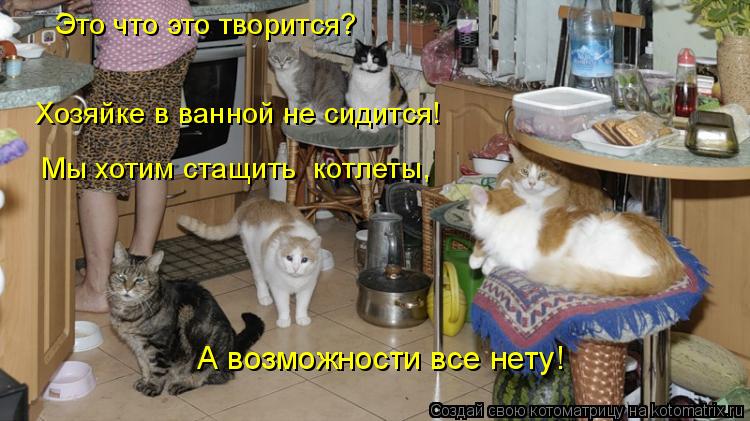 Это что это творится? Хозяйке в ванной не сидится! Мы хотим стащить котлеты, А возможности все нету!... Котоматрица: Это что это творится? Хозяйке в ванной не сидится! Мы хотим стащить котлеты, А возможности все нету!