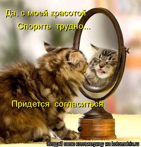 Да, с моей красотой Спорить трудно... Придется согласиться... Котоматрица: Да, с моей красотой Спорить трудно... Придется согласиться