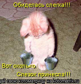 Обиделась слегка!!! Вот сколько Слезок принесла!!!... Котоматрица: Обиделась слегка!!! Вот сколько Слезок принесла!!!