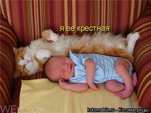 я ее крестная... Котоматрица: я ее крестная