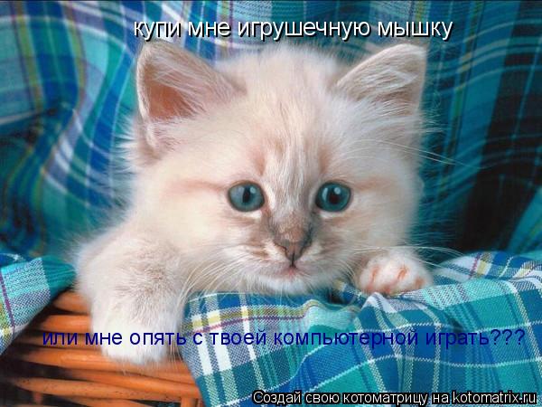 купи мне игрушечную мышку или мне опять с твоей компьютерной играть???... Котоматрица: купи мне игрушечную мышку или мне опять с твоей компьютерной играть???