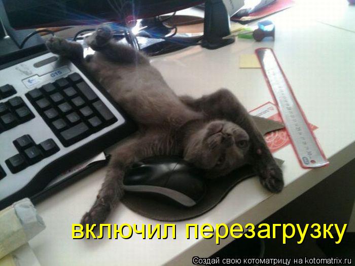 включил перезагрузку... Котоматрица: включил перезагрузку