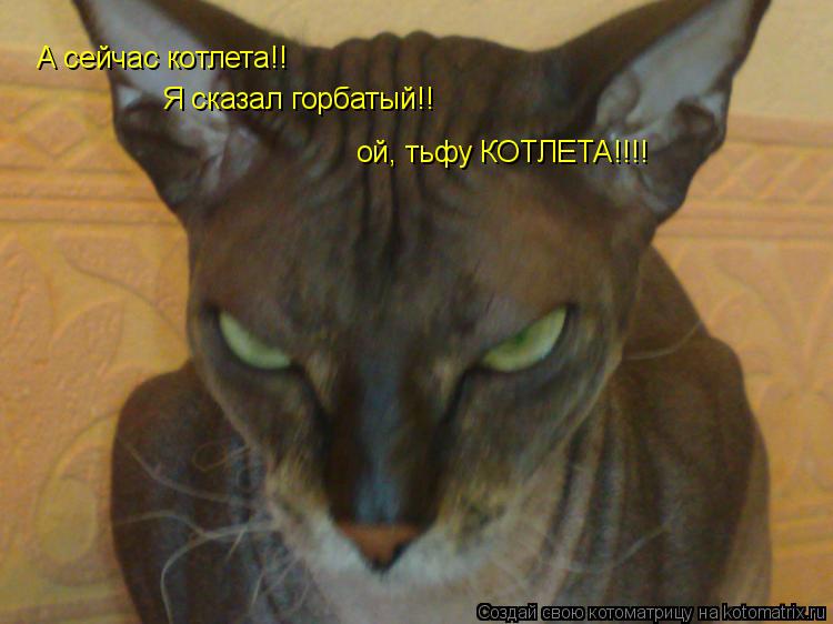 А сейчас котлета!! Я сказал горбатый!! ой, тьфу КОТЛЕТА!!!!... Котоматрица: А сейчас котлета!! Я сказал горбатый!! ой, тьфу КОТЛЕТА!!!!