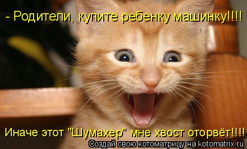 - Родители, купите ребенку машинку!!!! Иначе этот "Шумахер" мне хвост оторвёт!!!!... Котоматрица: - Родители, купите ребенку машинку!!!! Иначе этот "Шумахер" мне хвост оторвёт!!!!