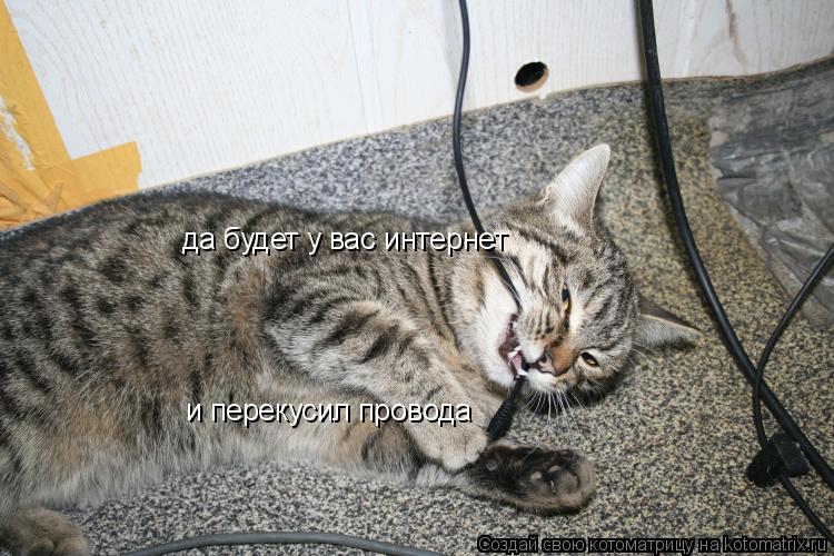 да будет у вас интернет и перекусил провода... Котоматрица: да будет у вас интернет и перекусил провода