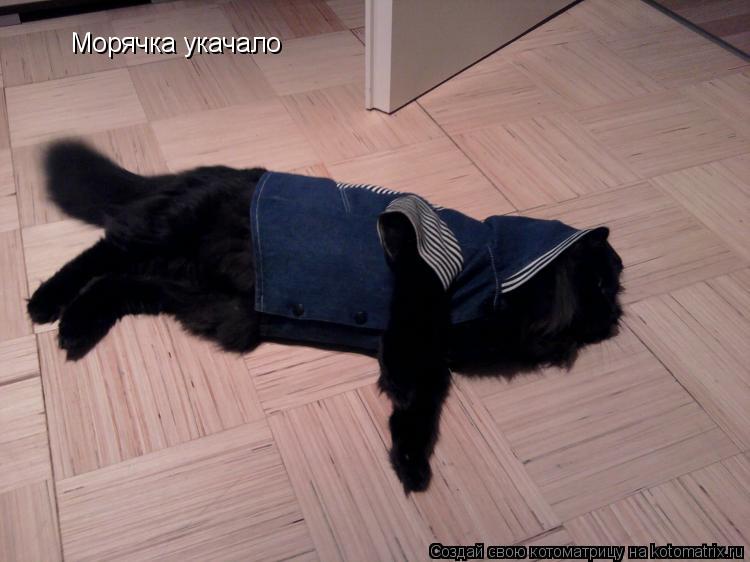 Морячка укачало... Котоматрица: Морячка укачало