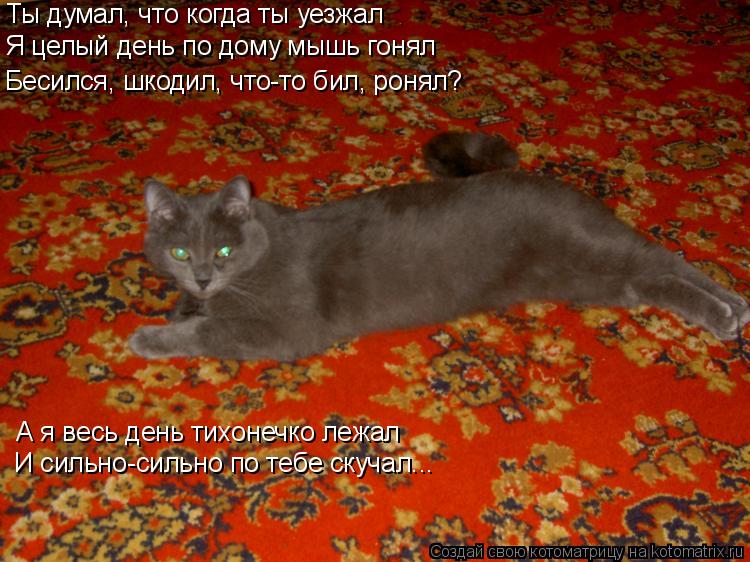 Ты думал, что когда ты уезжал Я целый день по дому мышь гонял Бесился, шкодил, что-то бил, ронял? А я... Котоматрица: Ты думал, что когда ты уезжал Я целый день по дому мышь гонял Бесился, шкодил, что-то бил, ронял? А я весь день тихонечко лежал И сильно-сильно