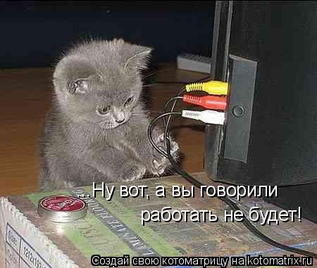 ...Ну вот, а вы говорили работать не будет!... Котоматрица: ...Ну вот, а вы говорили работать не будет!