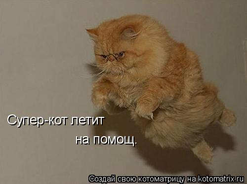 Супер-кот летит на помощ.... Котоматрица: Супер-кот летит на помощ.