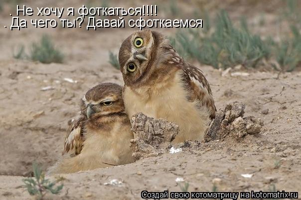 – Не хочу я фоткаться!!!! – Да чего ты? Давай сфоткаемся... Котоматрица: – Не хочу я фоткаться!!!! – Да чего ты? Давай сфоткаемся