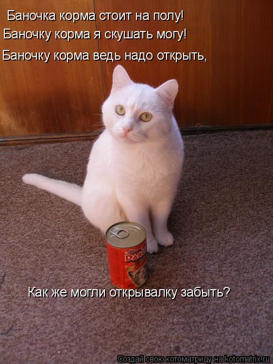 Баночка корма стоит на полу! Баночку корма я скушать могу! Баночку корма ведь надо открыть, Как же мо... Котоматрица: Баночка корма стоит на полу! Баночку корма я скушать могу! Баночку корма ведь надо открыть, Как же могли открывалку забыть?