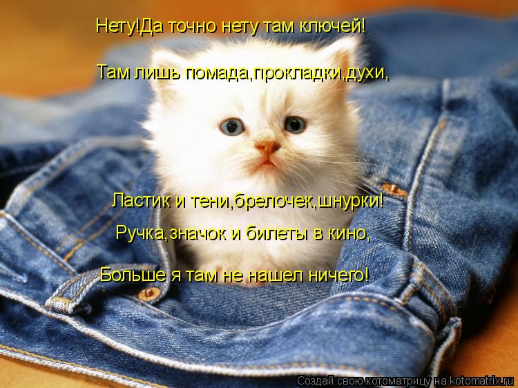 Нету!Да точно нету там ключей! Там лишь помада,прокладки,духи, Ластик и тени,брелочек,шнурки! Ручка,з... Котоматрица: Нету!Да точно нету там ключей! Там лишь помада,прокладки,духи, Ластик и тени,брелочек,шнурки! Ручка,значок и билеты в кино, Больше я там не на