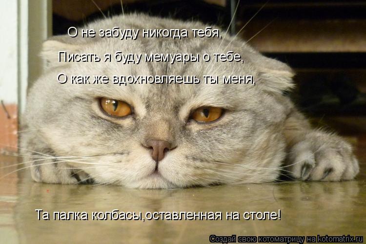 О не забуду никогда тебя, Писать я буду мемуары о тебе, О как же вдохновляешь ты меня, Та палка колба... Котоматрица: О не забуду никогда тебя, Писать я буду мемуары о тебе, О как же вдохновляешь ты меня, Та палка колбасы,оставленная на столе!