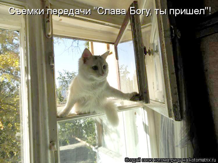 Съемки передачи "Слава Богу, ты пришел"!... Котоматрица: Съемки передачи "Слава Богу, ты пришел"!