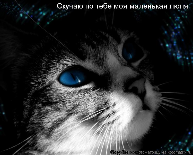 Скучаю по тебе моя маленькая люля... Котоматрица: Скучаю по тебе моя маленькая люля