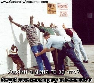 Хозяин а меня то за что?... Котоматрица: Хозяин а меня то за что?