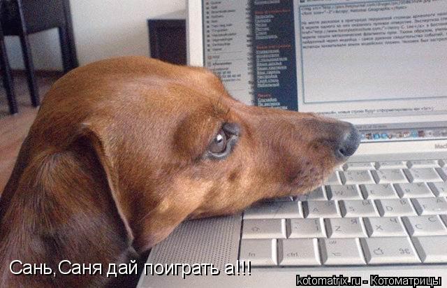 Сань,Саня дай поиграть а!!!... Котоматрица: Сань,Саня дай поиграть а!!!