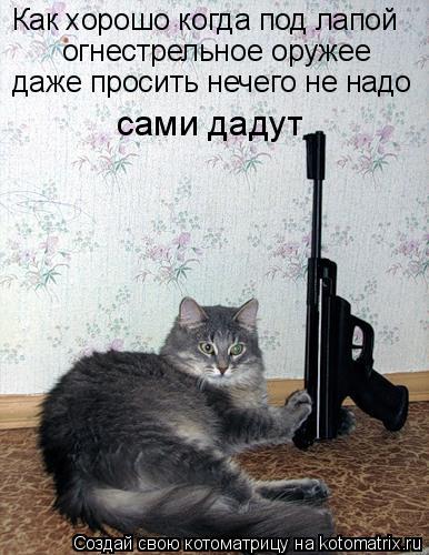 Как хорошо когда под лапой огнестрельное оружее даже просить нечего не надо сами дадут... Котоматрица: Как хорошо когда под лапой огнестрельное оружее даже просить нечего не надо сами дадут
