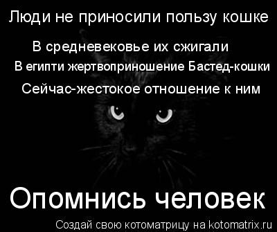 В средневековье их сжигали Люди не приносили пользу кошке В египти жертвоприношение Бастед-кошки Сей... Котоматрица: В средневековье их сжигали Люди не приносили пользу кошке В египти жертвоприношение Бастед-кошки Сейчас-жестокое отношение к ним Опомнис