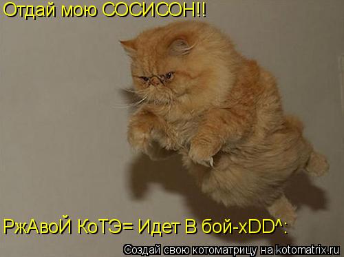 Отдай мою СОСИСОН!! РжАвоЙ КоТЭ= Идет В бой-xDD^:... Котоматрица: Отдай мою СОСИСОН!! РжАвоЙ КоТЭ= Идет В бой-xDD^: