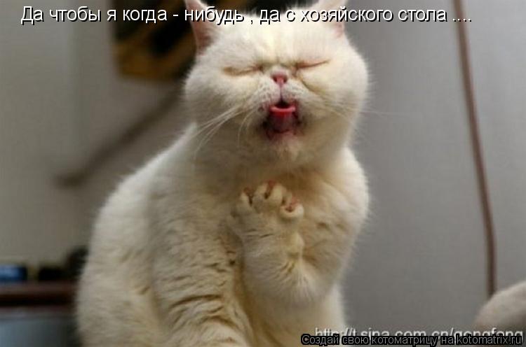 Да чтобы я когда - нибудь , да с хозяйского стола ....... Котоматрица: Да чтобы я когда - нибудь , да с хозяйского стола ....