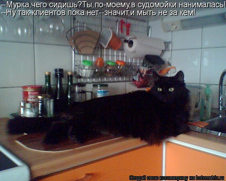 --Мурка,чего сидишь?Ты,по-моему,в судомойки нанималась! --Ну так клиентов пока нет--значит,и мыть не ... Котоматрица: --Мурка,чего сидишь?Ты,по-моему,в судомойки нанималась! --Ну так клиентов пока нет--значит,и мыть не за кем!