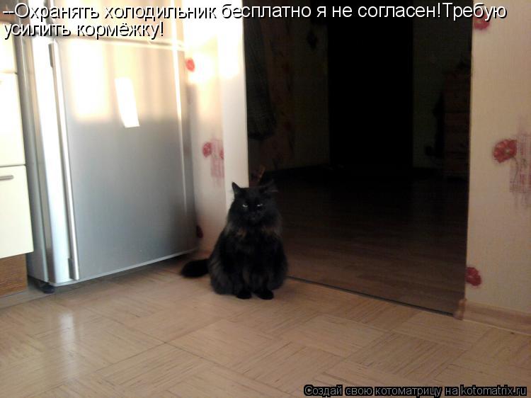 --Охранять холодильник бесплатно я не согласен!Требую усилить кормёжку!... Котоматрица: --Охранять холодильник бесплатно я не согласен!Требую усилить кормёжку!
